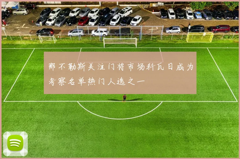 那不勒斯关注门将市场科瓦日成为考察名单热门人选之一
